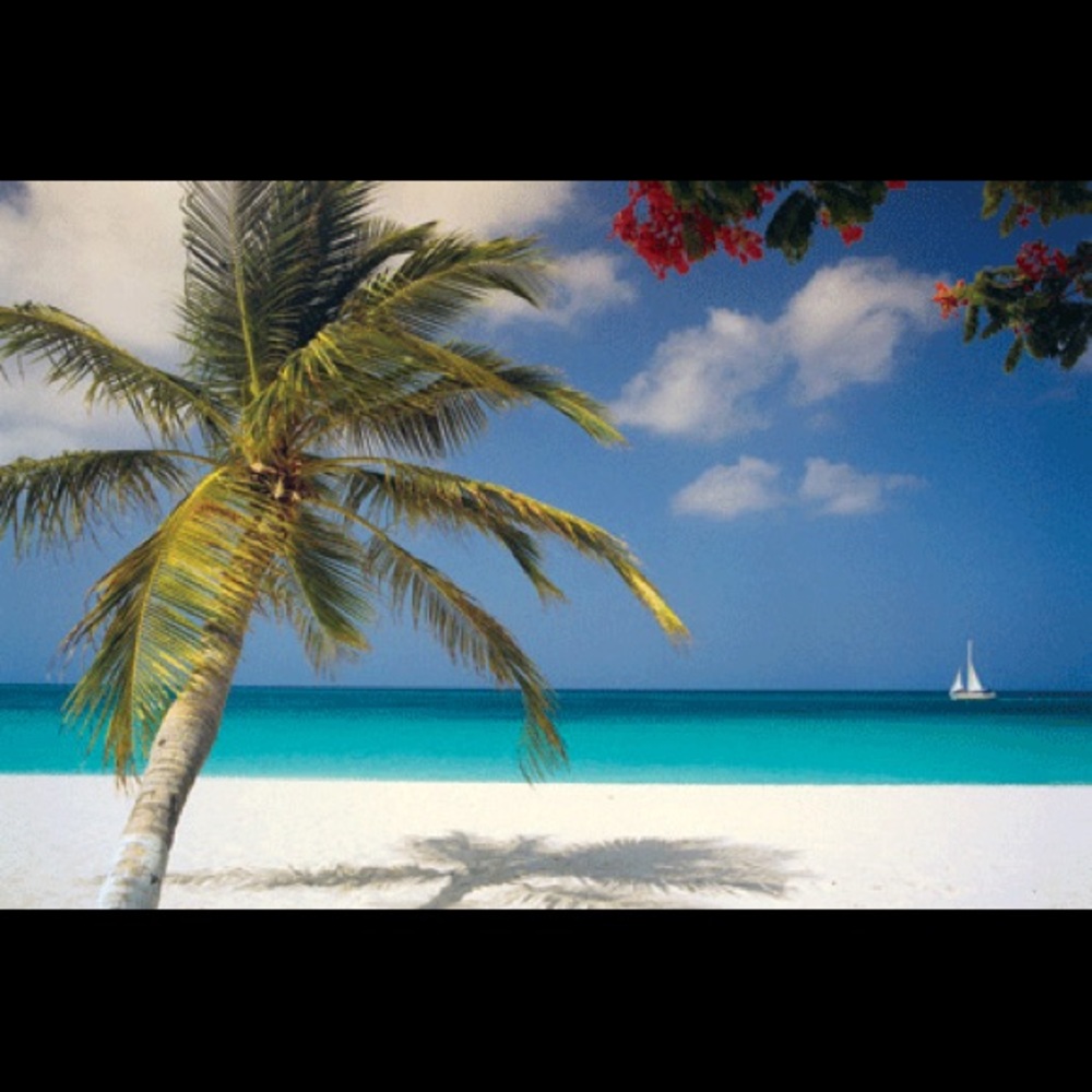 Meet your Posher, Joni