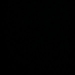 Meet your Posher, Leo