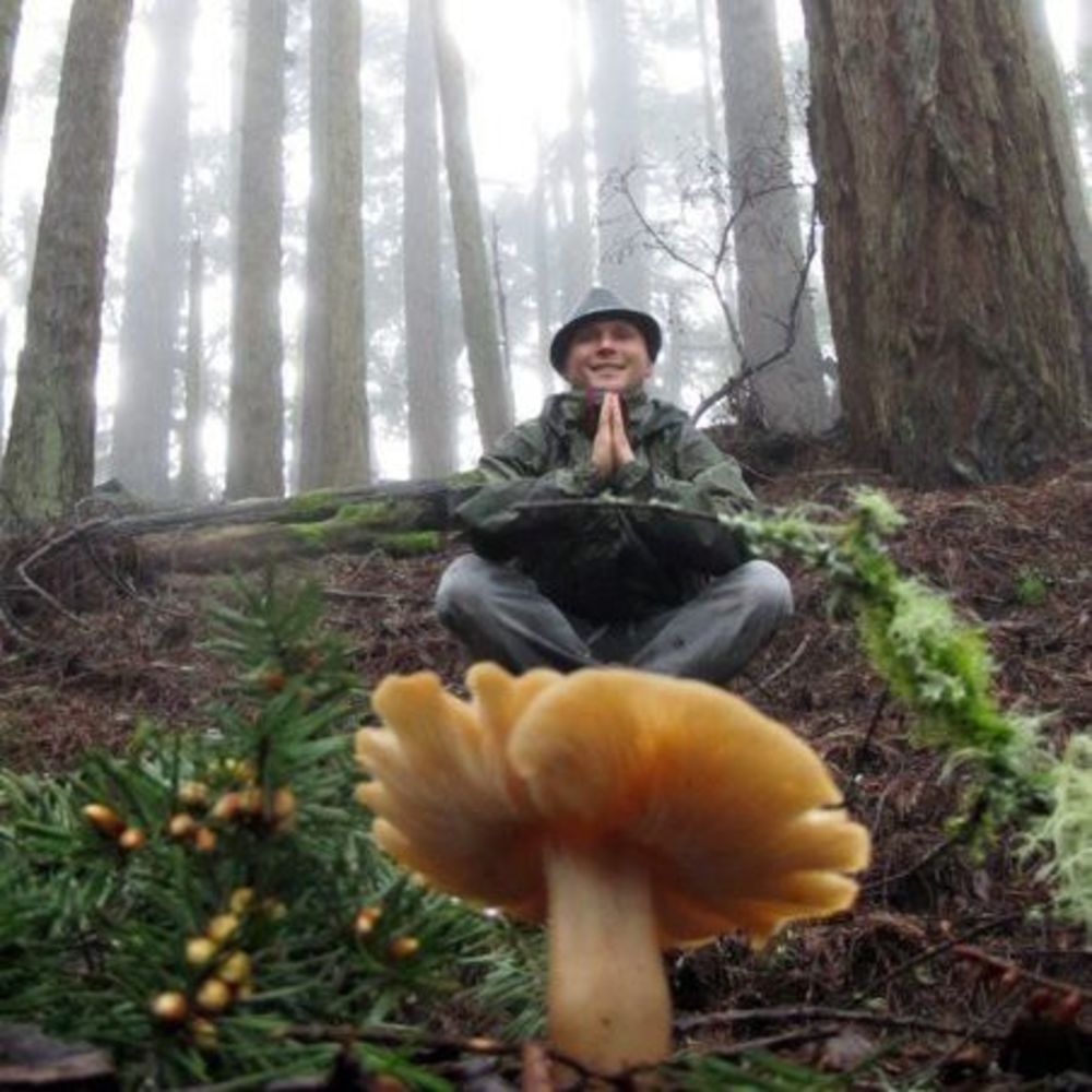 Meet your Posher, Justin