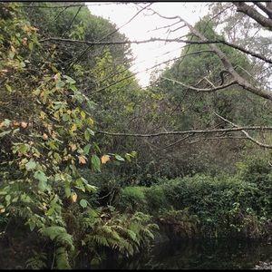 Meet your Posher, Jeff