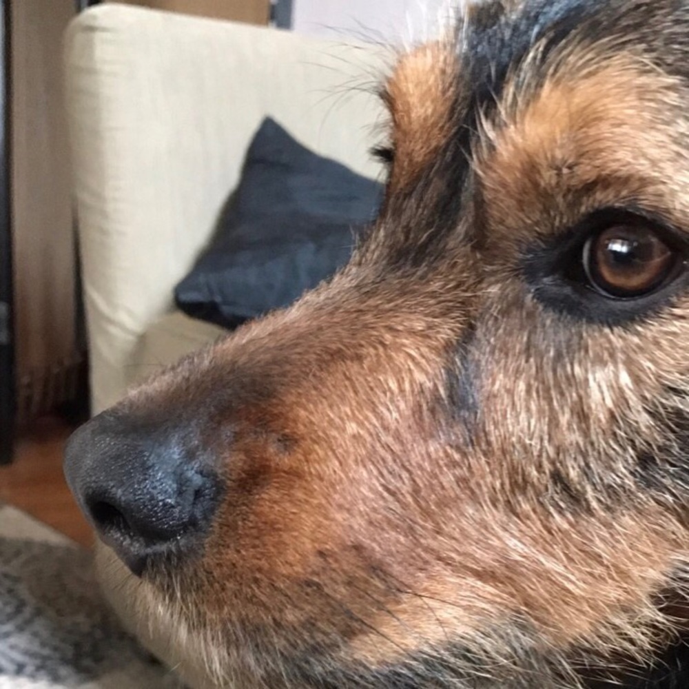 Meet your Posher, Connor