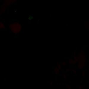 Meet your Posher, Brandy