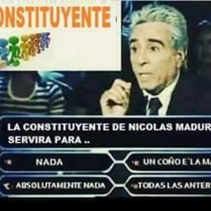 Meet your Posher, Petra