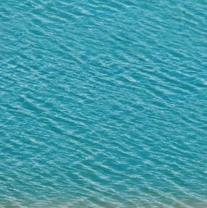 Meet your Posher, Lynda