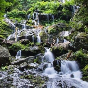 Meet your Posher, Carol