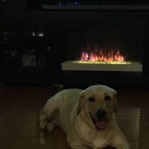 Meet your Posher, Kara