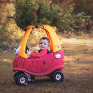 Meet your Posher, Tracy