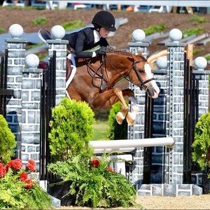 Meet your Posher, Avery