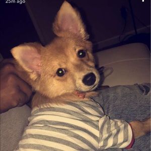 Meet your Posher, Lynn