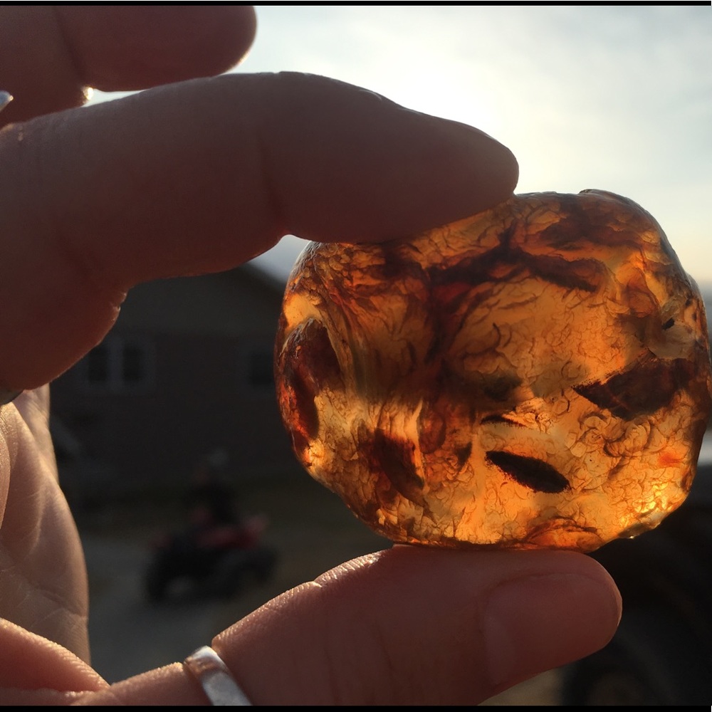 Meet your Posher, Rachael