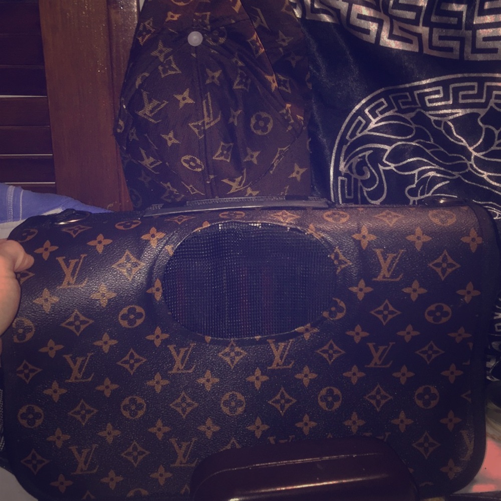 Louis Vuitton extra small dog carrier