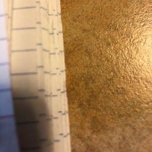 Meet your Posher, Dylan