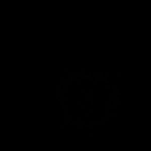 Meet your Posher, Lexi