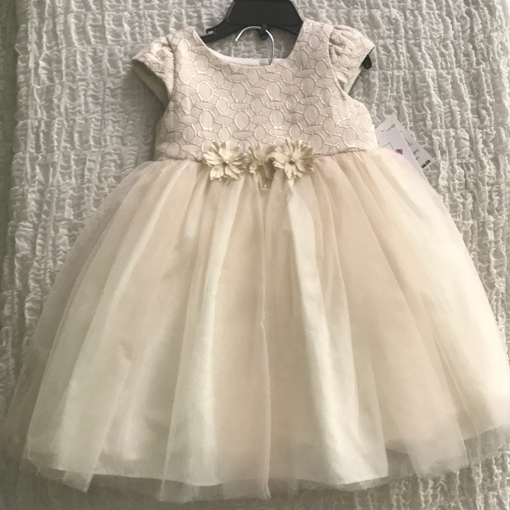 NWT Pippa & Julie Dress size 24M