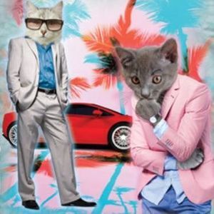 Meet your Posher, Jana