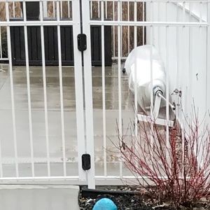 Meet your Posher, Tim