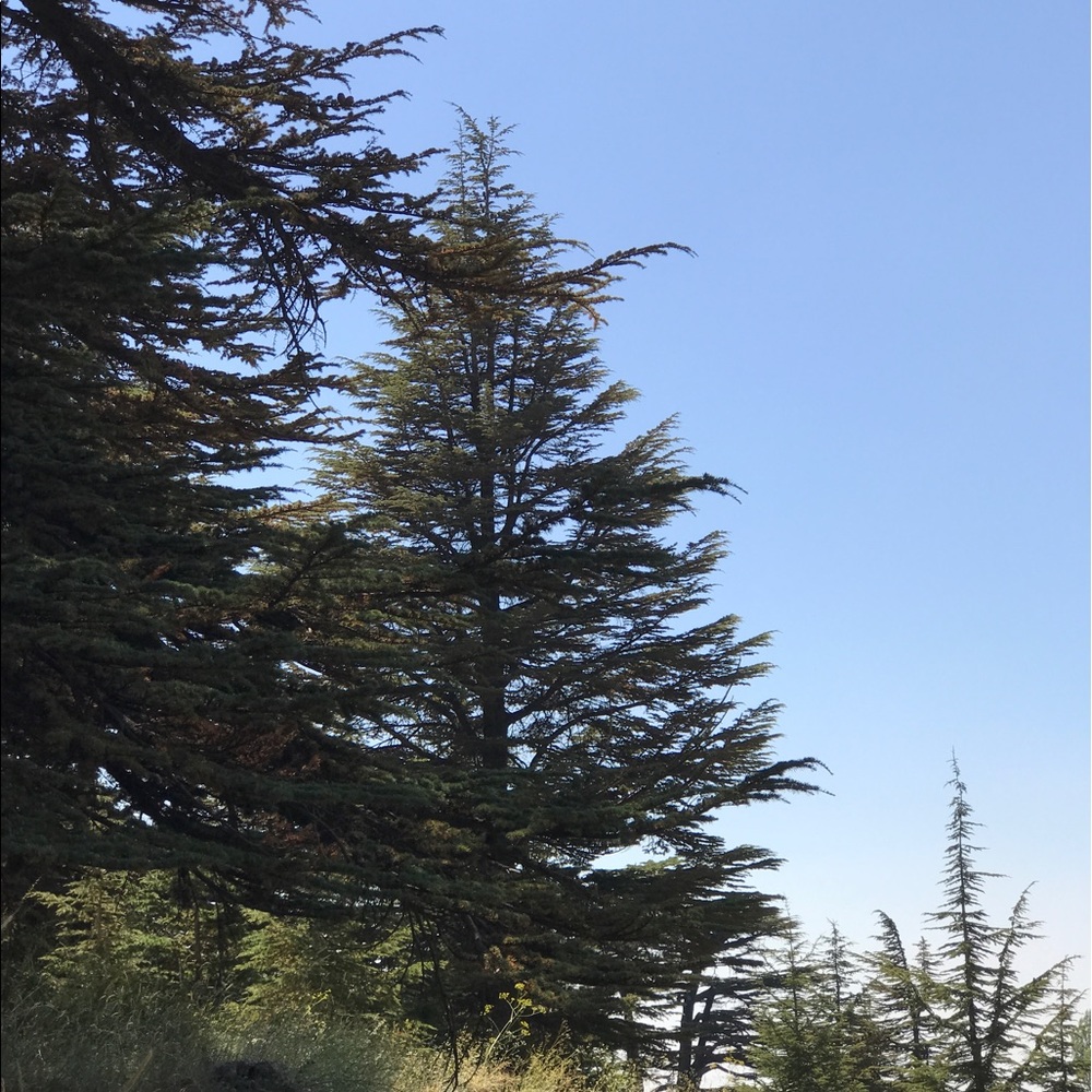 Meet your Posher, Rola