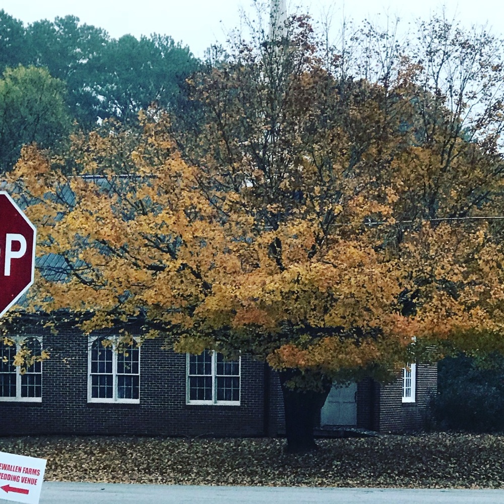 Meet your Posher, Ash