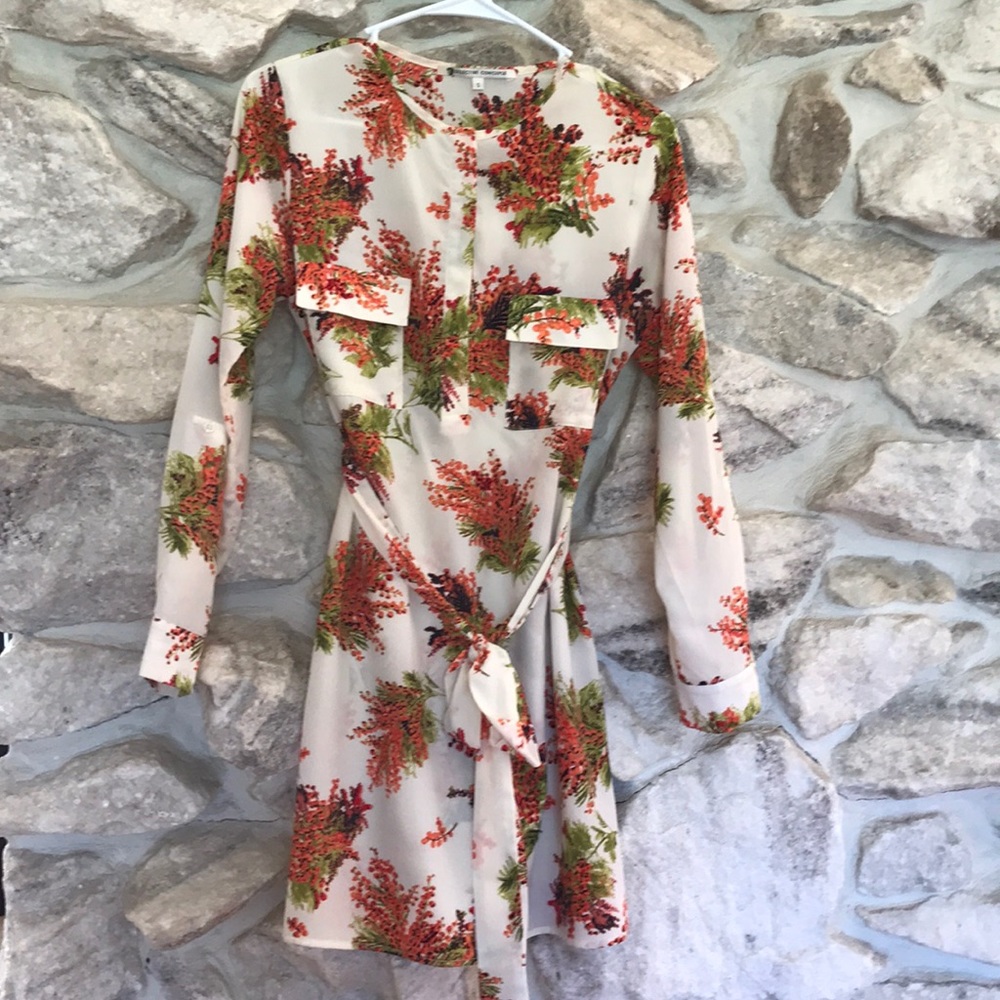 Collective Concepts Piperlime Floral Shirt Dress