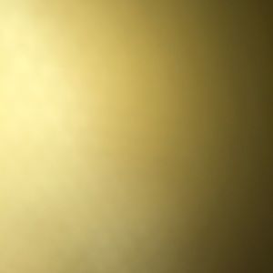 Meet your Posher, Brieanna