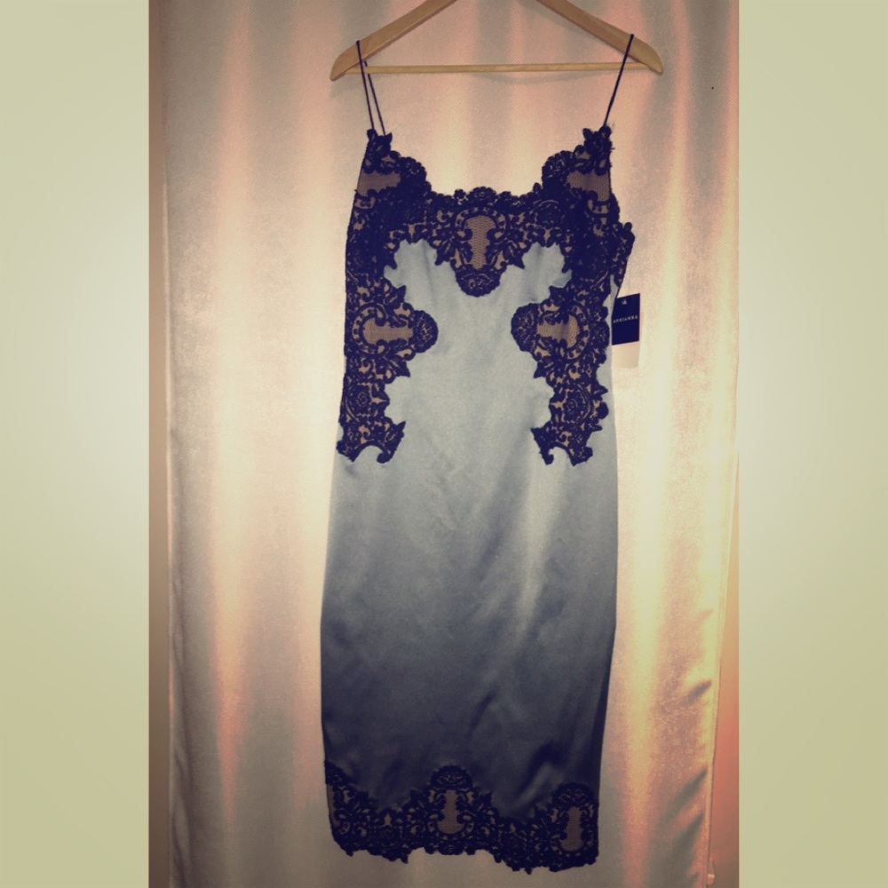 BRAND NEW BEAUTIFUL ADRIANNA PAPELL DRESS