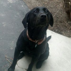 Meet your Posher, Janel