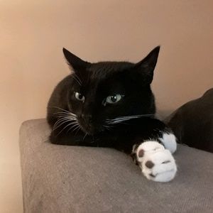 Meet your Posher, Miina