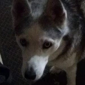 Meet your Posher, Ethan