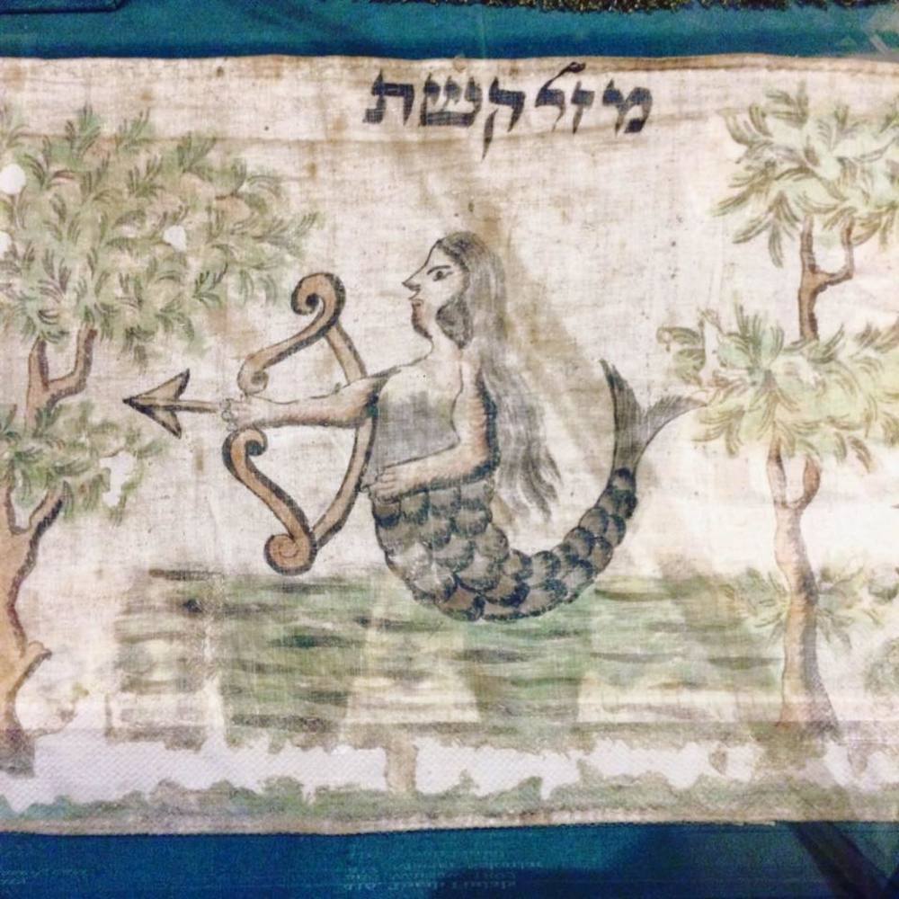 Meet your Posher, Anaia