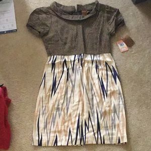 NWT Ali Ro wool and silk dress.