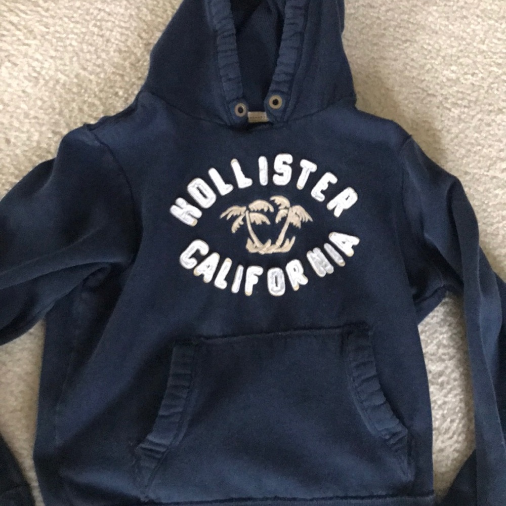 Large Hollister Hoodie