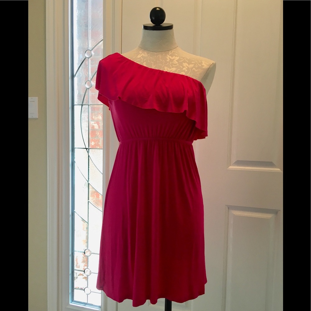 The Impeccable Pig One Shoulder Dress