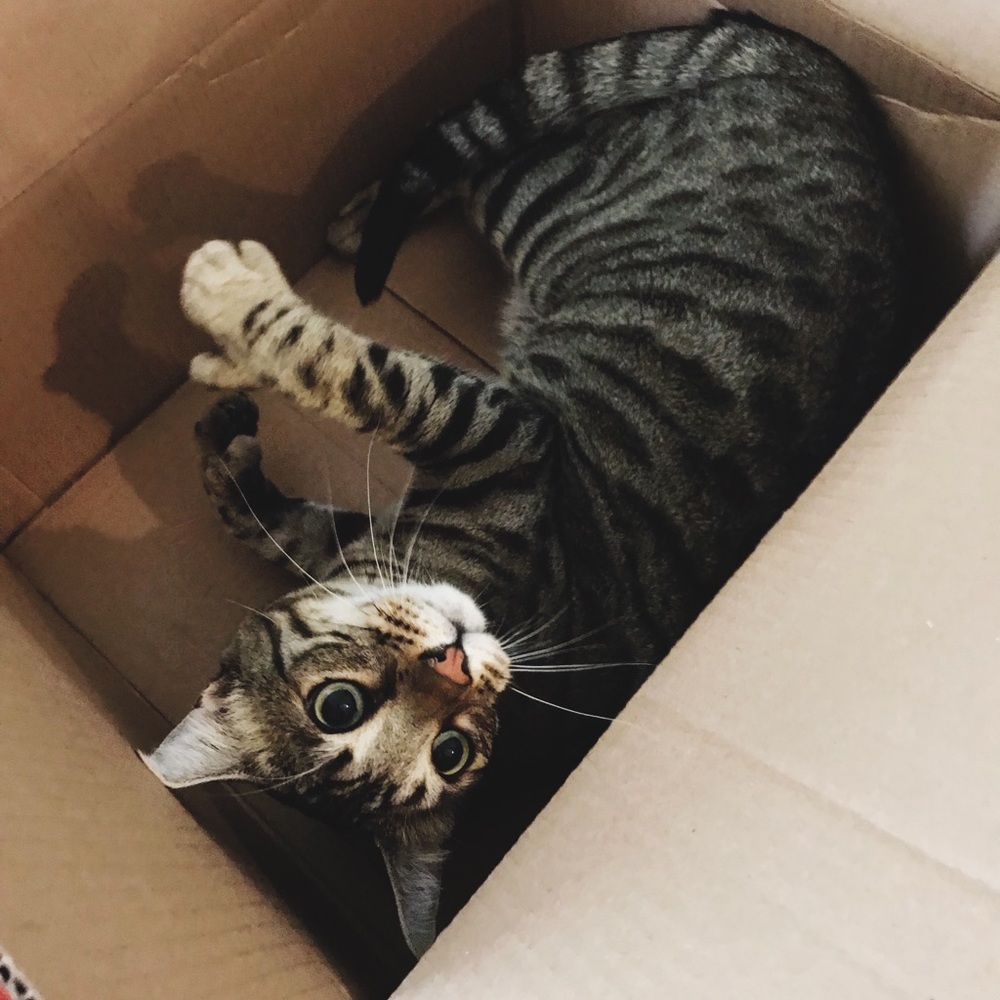 Shipping everything out!!!