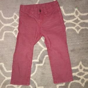 Burgundy toddler Cords 3T