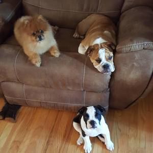 Meet your Posher, Kelly