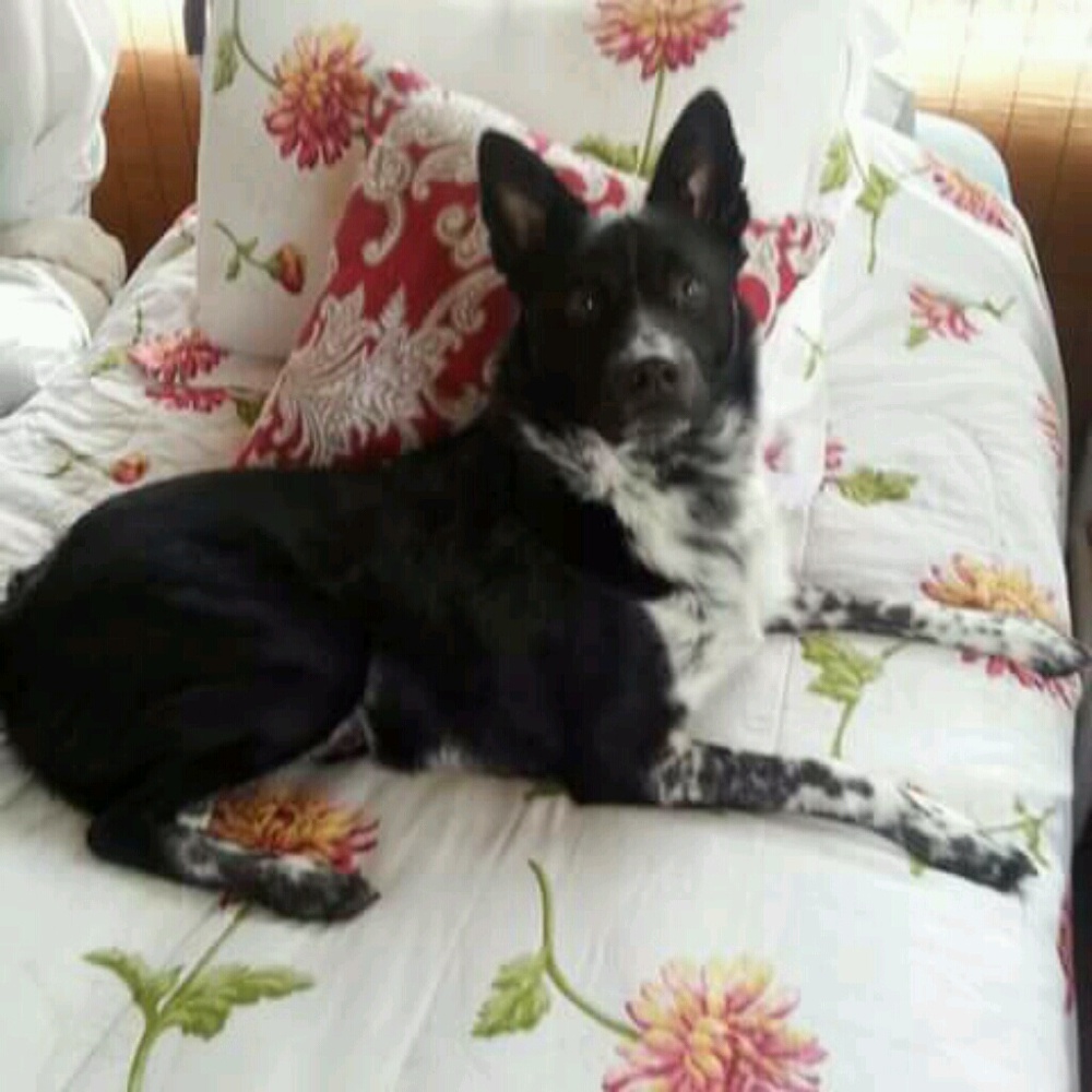 Meet your Posher, Heather