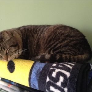 Meet your Posher, Valerie