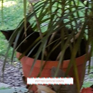 Meet your Posher, Cathy