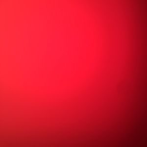 Meet your Posher, Daisy