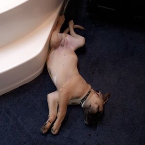 Meet your Posher, Cadence