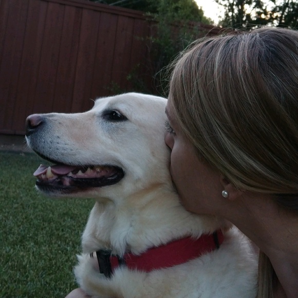 Meet your Posher, Chelsea - Picture 1 of 1