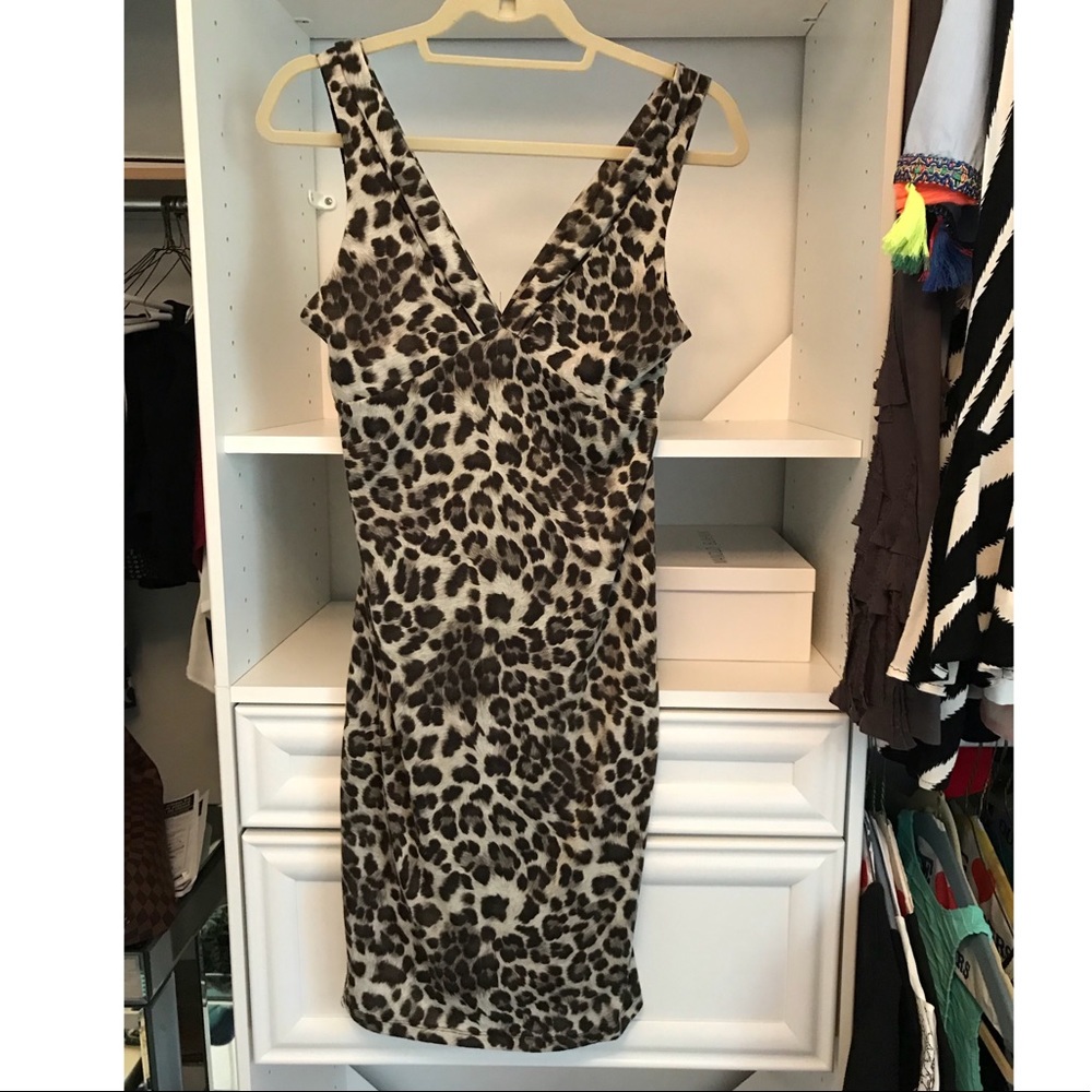 Leopard V Neck Dress