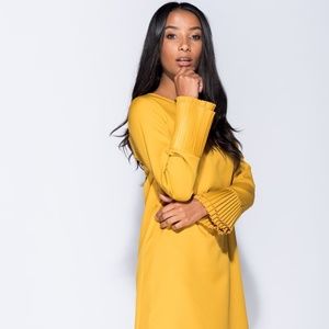 NEW Pleated Sleeve Shift Dress