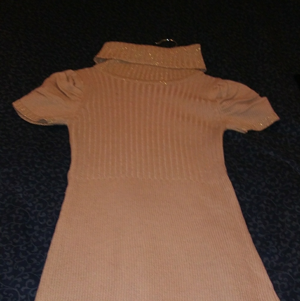 Turtleneck Collared dress