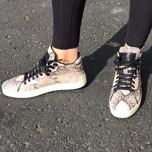 Rag & Bone Kent High Top Limited Edition_BRAND NEW