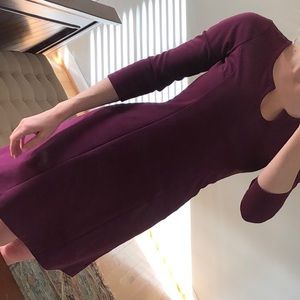 ANN TAYLOR LOFT Plum A-Line Work Dress
