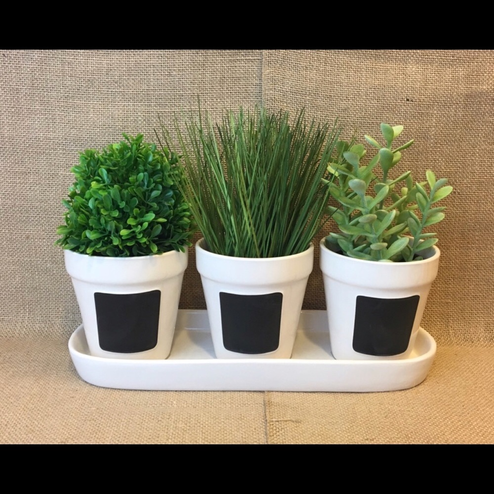 Rae Dunn Chalkboard Planters