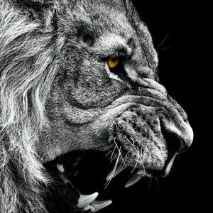 Meet your Posher, Alton