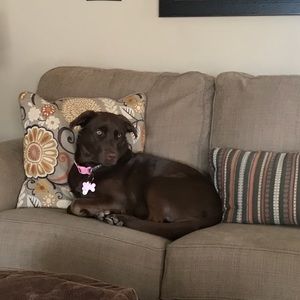 Meet your Posher, Melissa