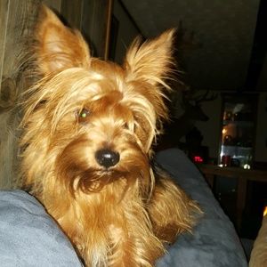 Meet your Posher, Jane